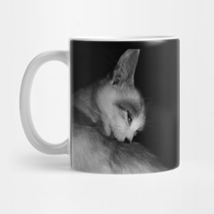 A licking cat in black and white Mug